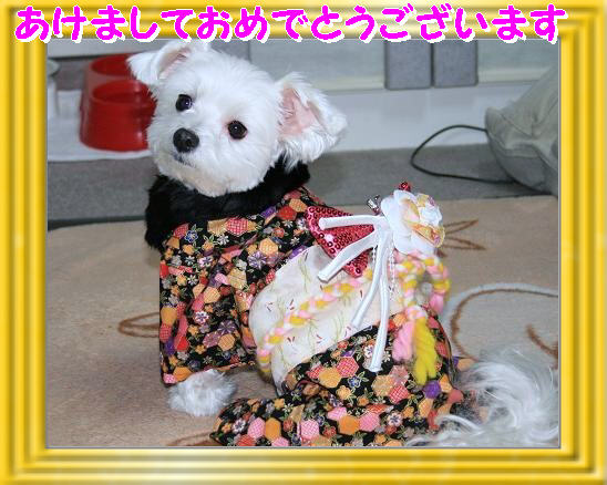 kimonon21.jpg